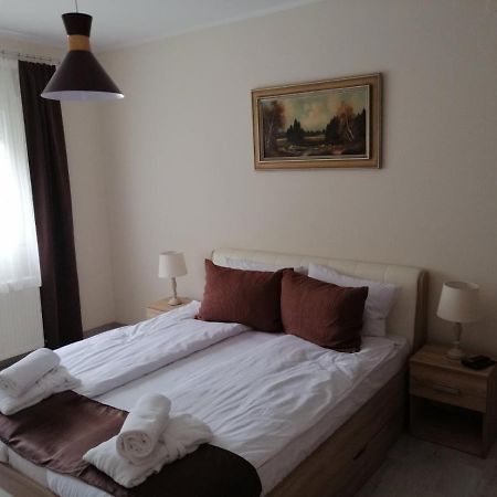 Apartman Zi-Zo Daire Vrsac Dış mekan fotoğraf