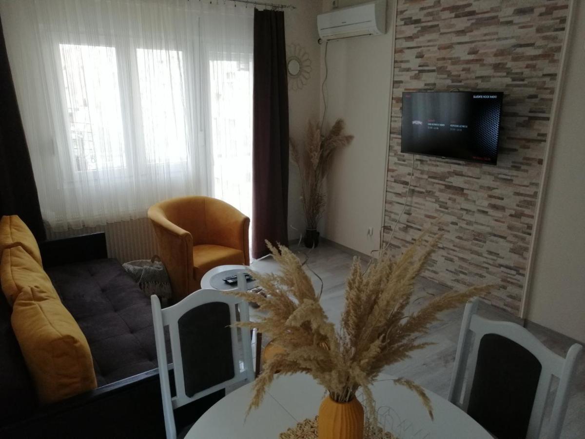 Apartman Zi-Zo Daire Vrsac Dış mekan fotoğraf