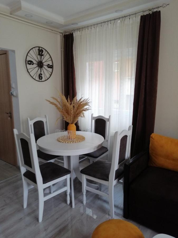 Apartman Zi-Zo Daire Vrsac Dış mekan fotoğraf