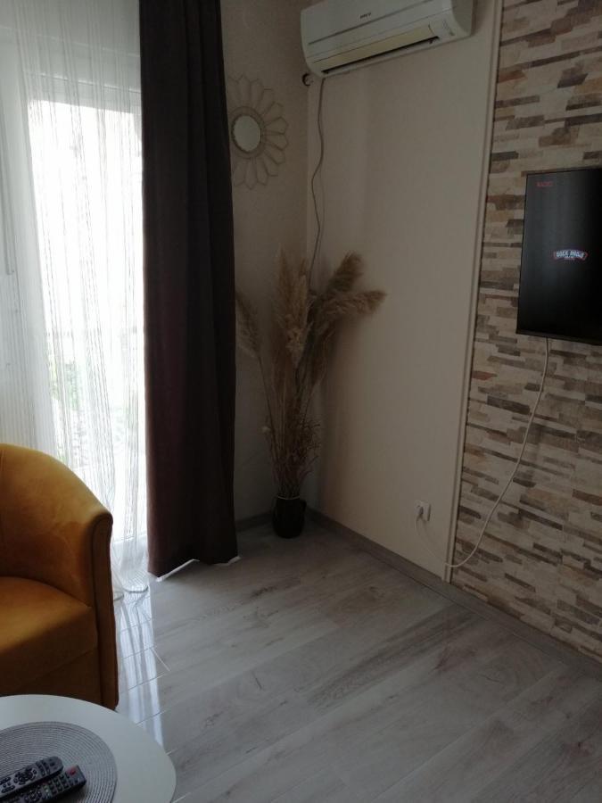 Apartman Zi-Zo Daire Vrsac Dış mekan fotoğraf